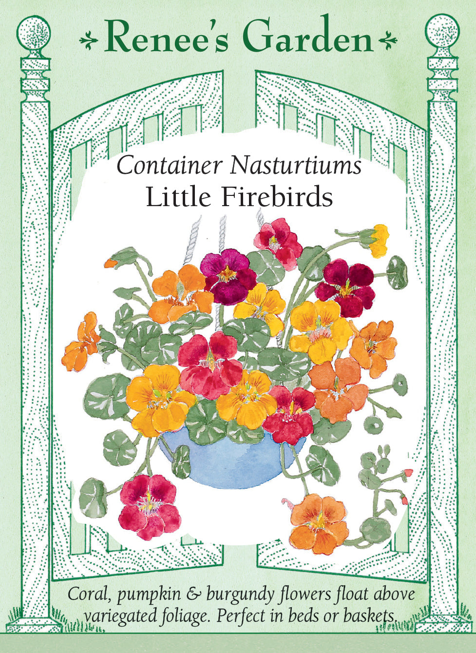 Renee's Garden Hanging Basket Nasturtiums Little Firebirds Seeds