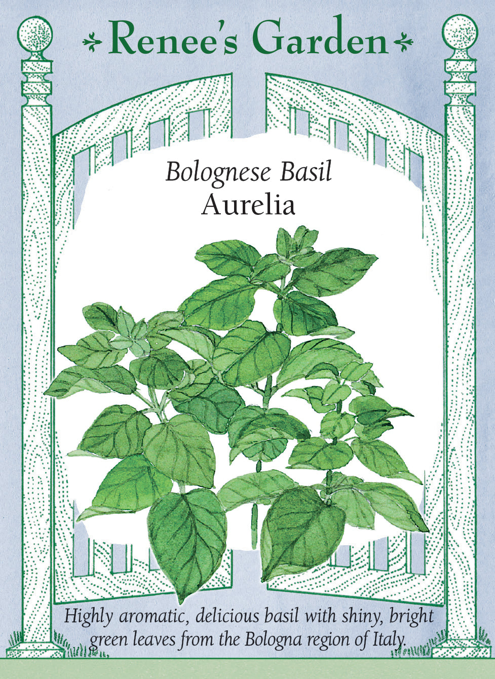 Renee's Garden Bolognese Basil Aurelia Seeds