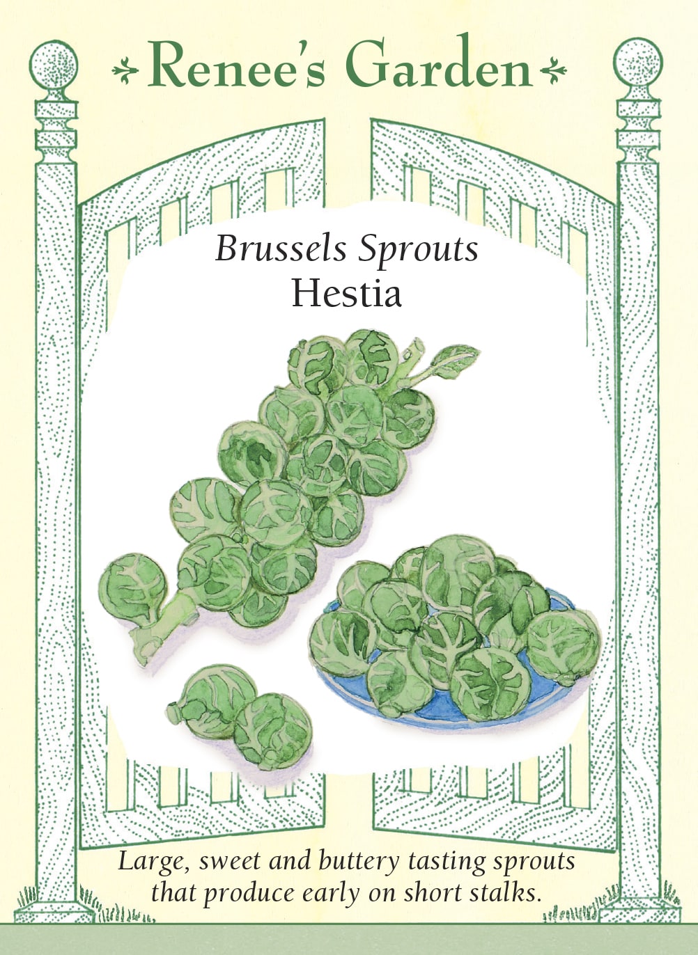 brussel sprouts glutathione Organic Brussels Brussels Sprouts - Hestia
