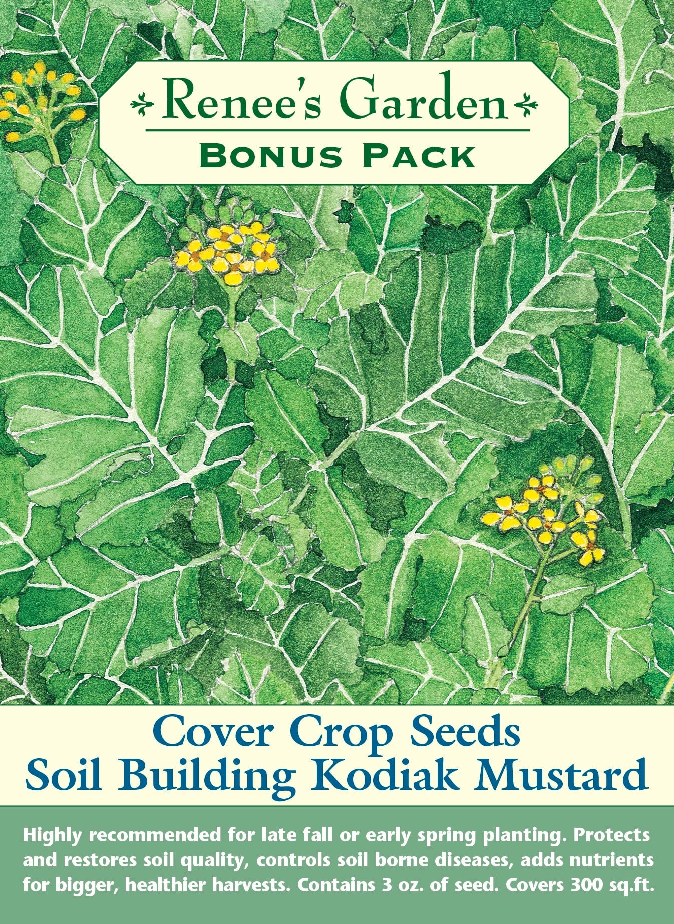 planting mustard seed cover crop Renee's Garden Cover Crop Seeds, Kodiak Mustard