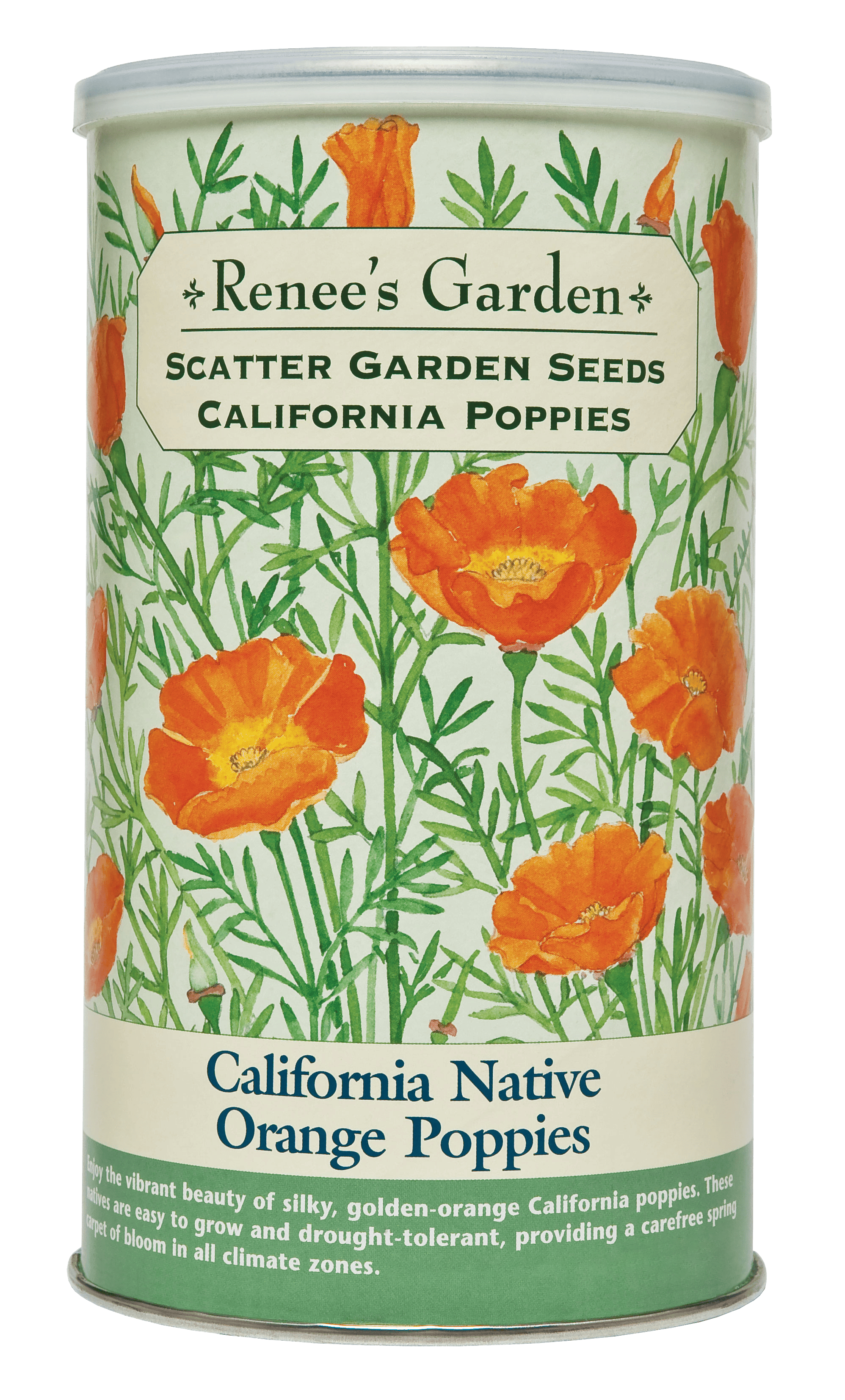 planting california poppy seeds fall California Native Orange Poppies' Scatter Garden Seeds – Renee's Garden