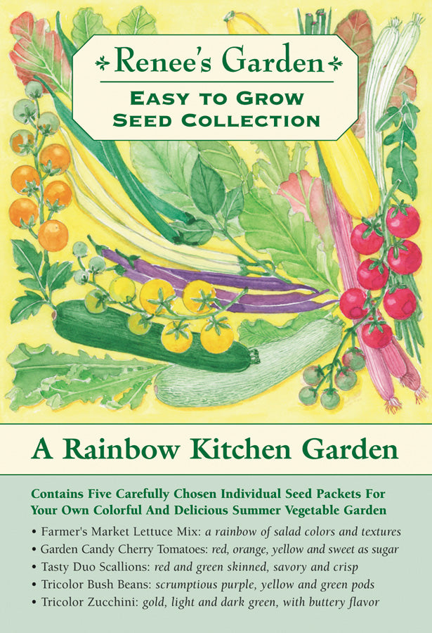 kitchen garden vegetable seeds 'The Rainbow Kitchen Vegetable Garden' Easy To Grow Collection