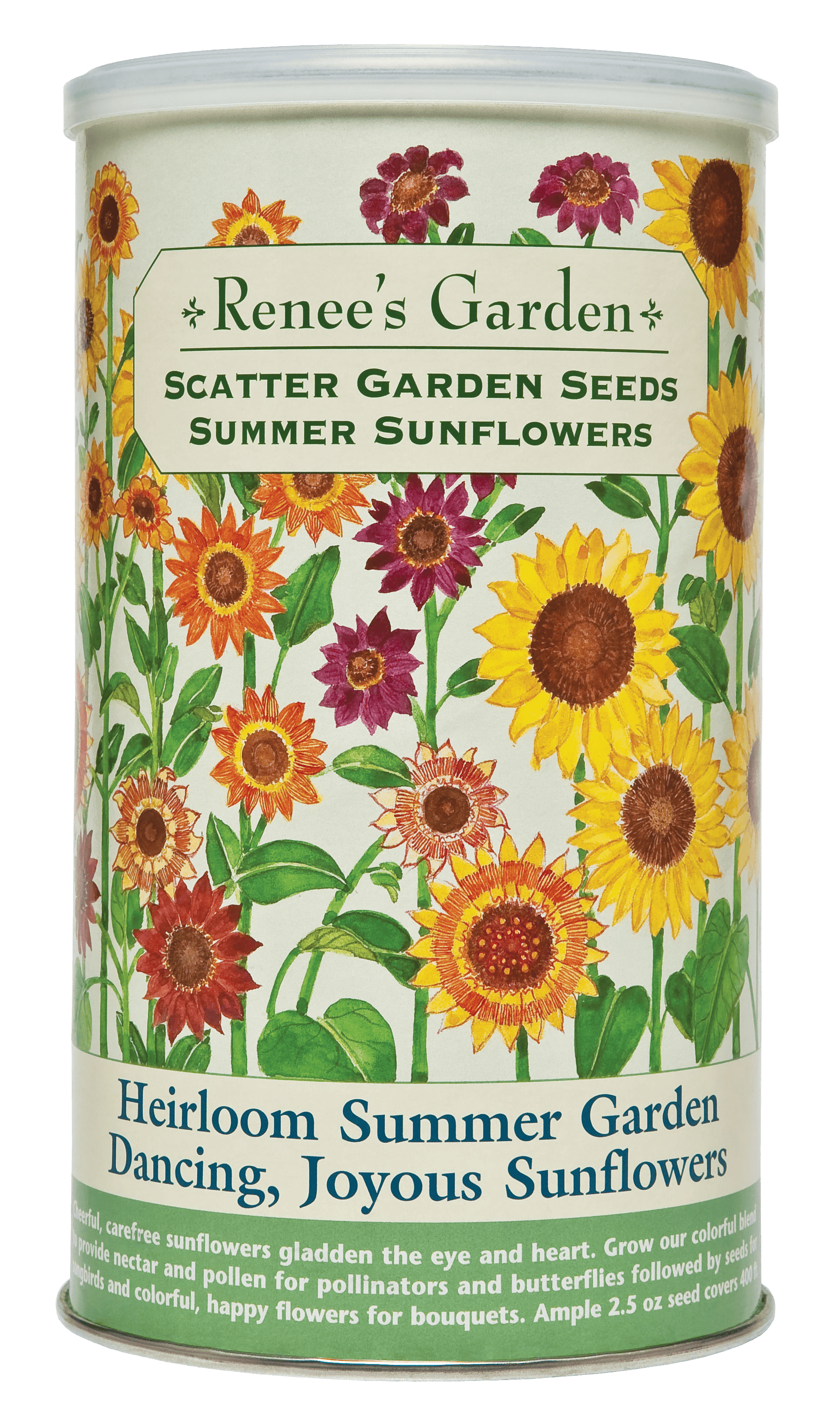 sunflower garden seeds Renee's Garden Scatter Garden Summer Sunflowers