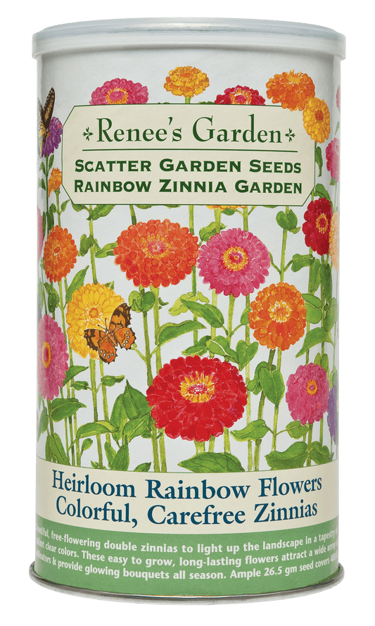 Heirloom Rainbow Flowers Colorful, Carefree Zinnias