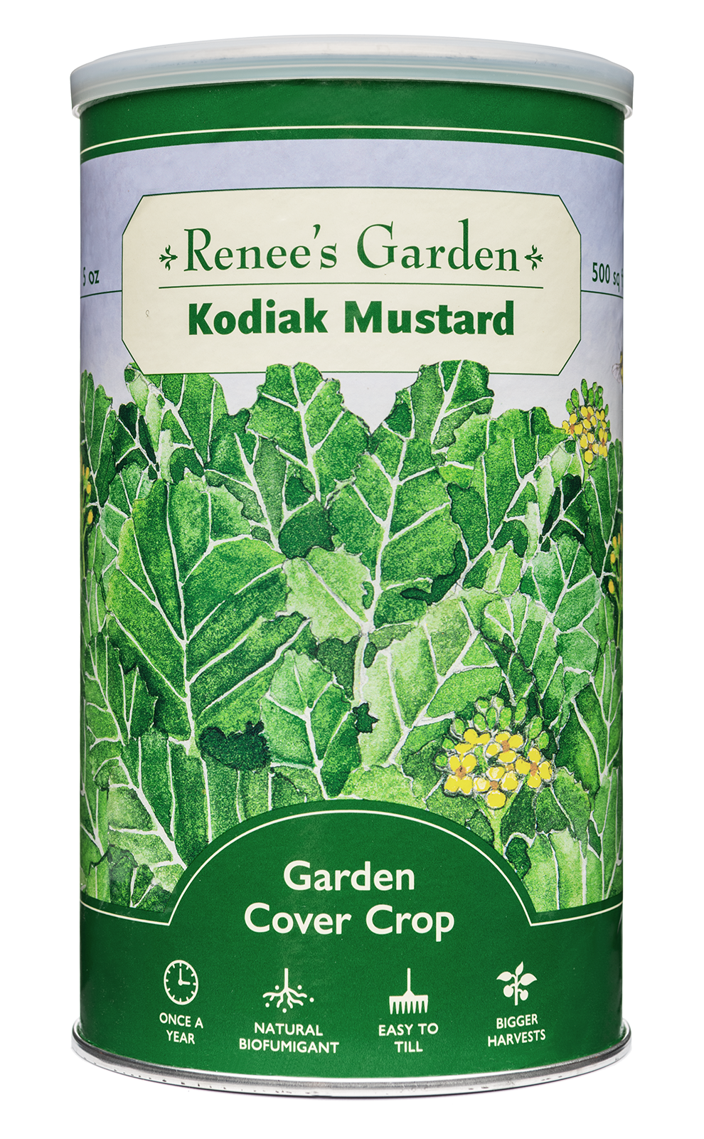 mustard seeds for garden Cover Crop