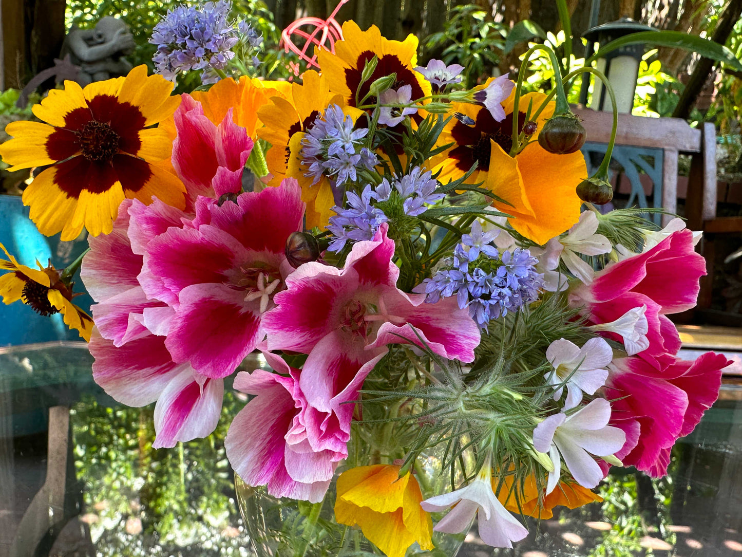 Easy Annual Wildflowers Nature’s Color Palette