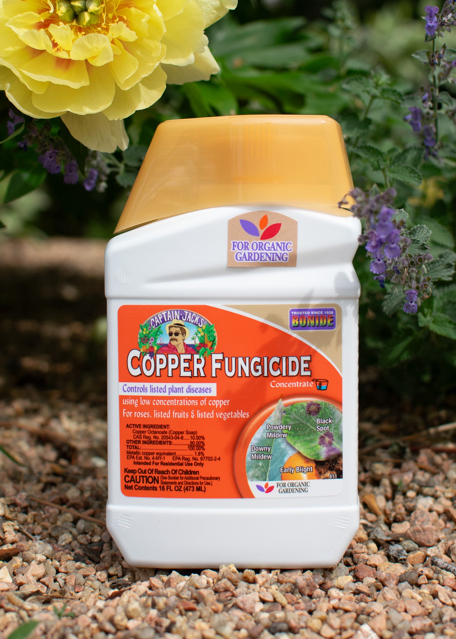 Captain Jack's Liquid Copper Fungicide Concentrate – Renee's Garden