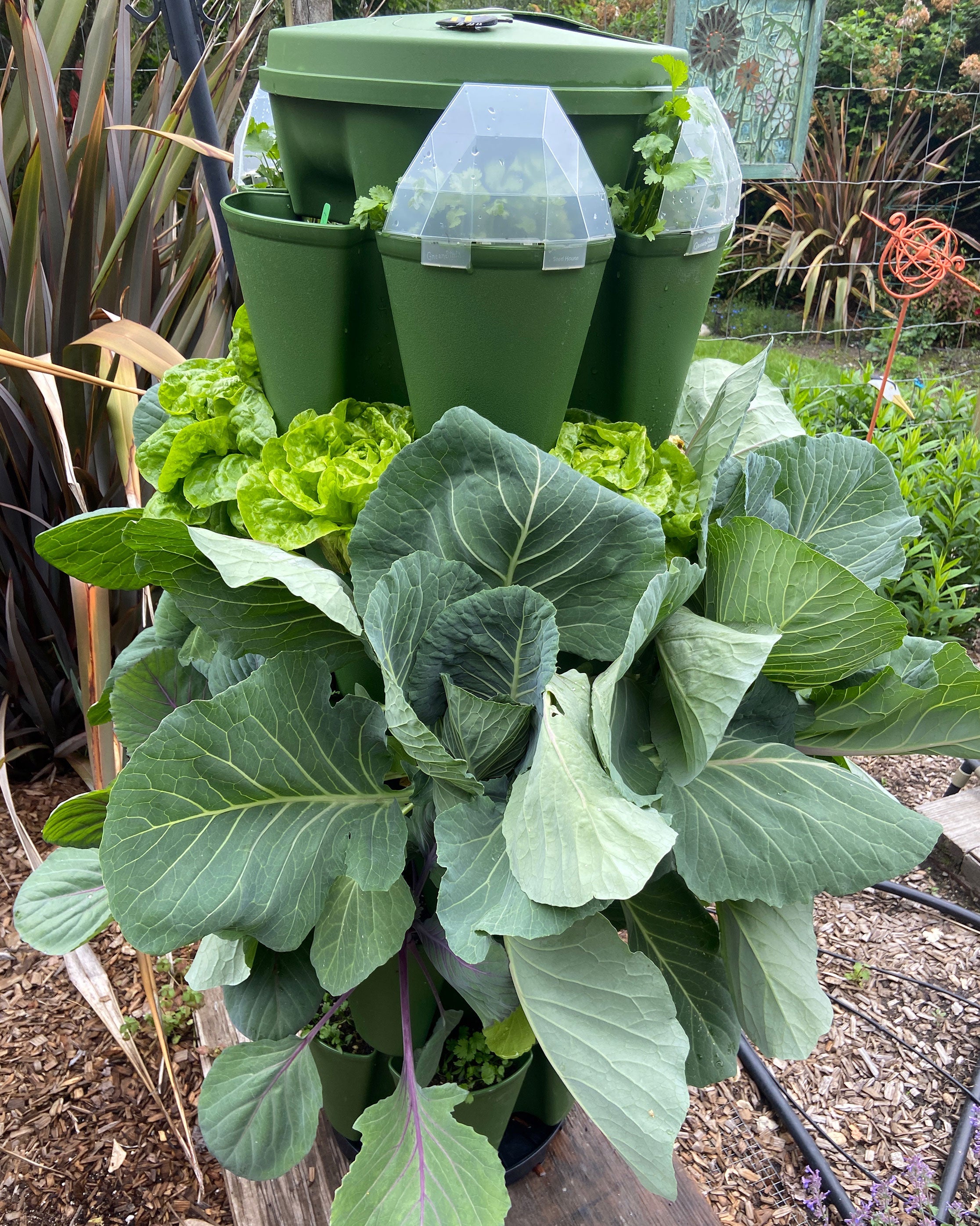 GreenStalk Garden Seed Houses – Renee's Garden