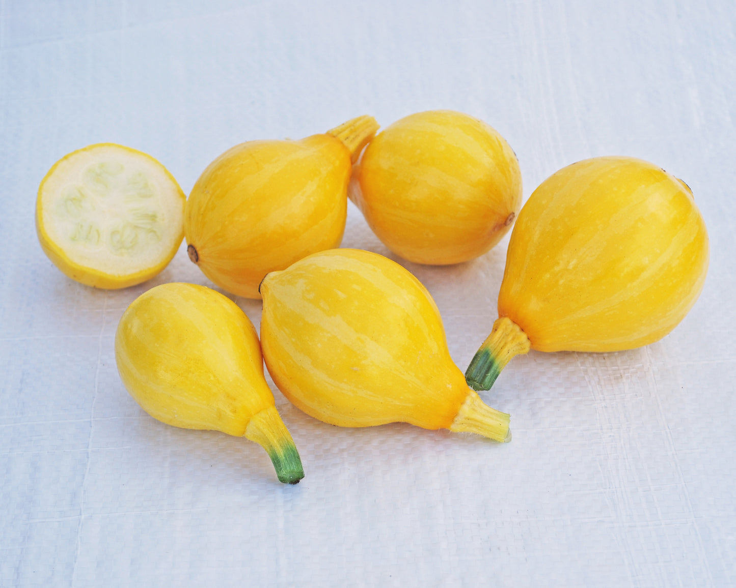 Little Lemon