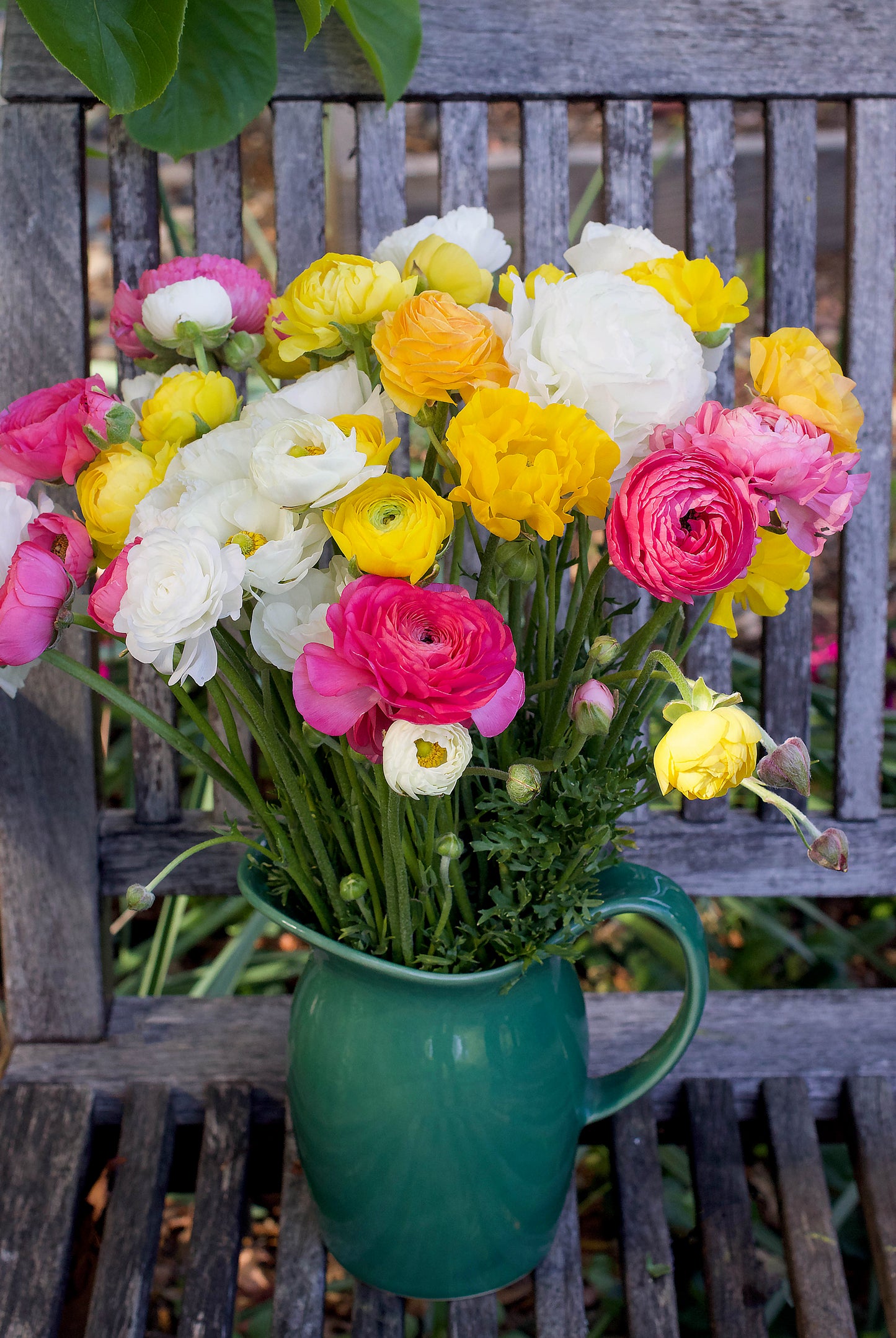 Jumbo Spring Joy