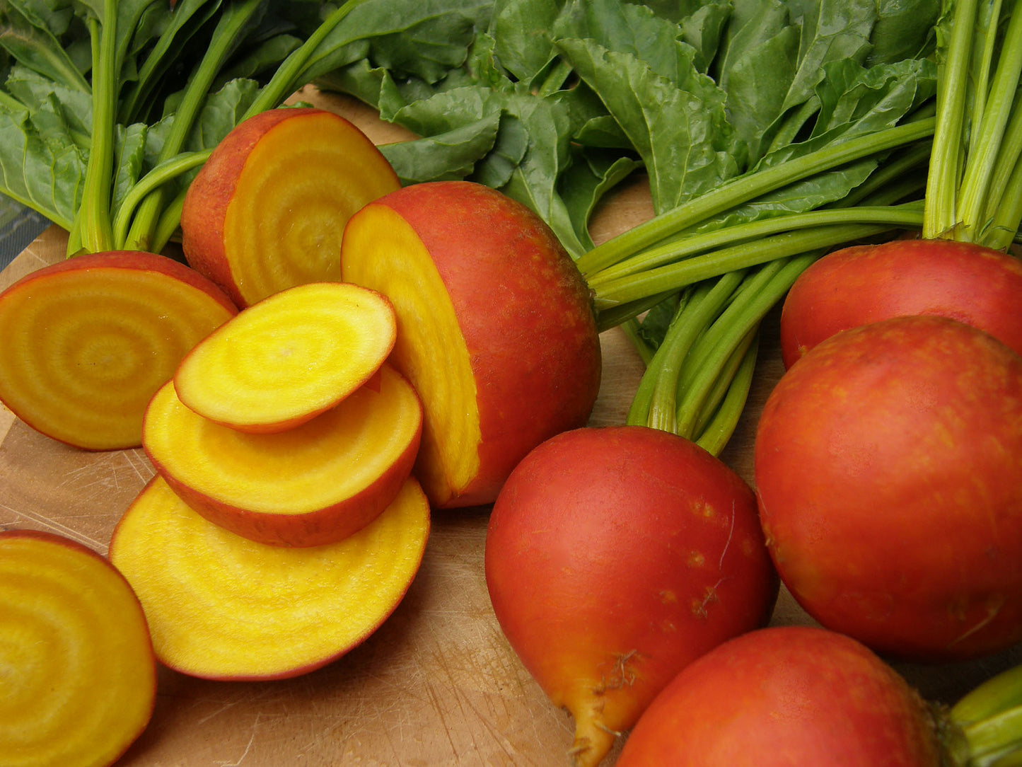 Gourmet Beets - Touchstone