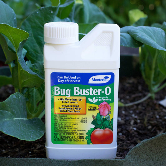 Bug Buster-O