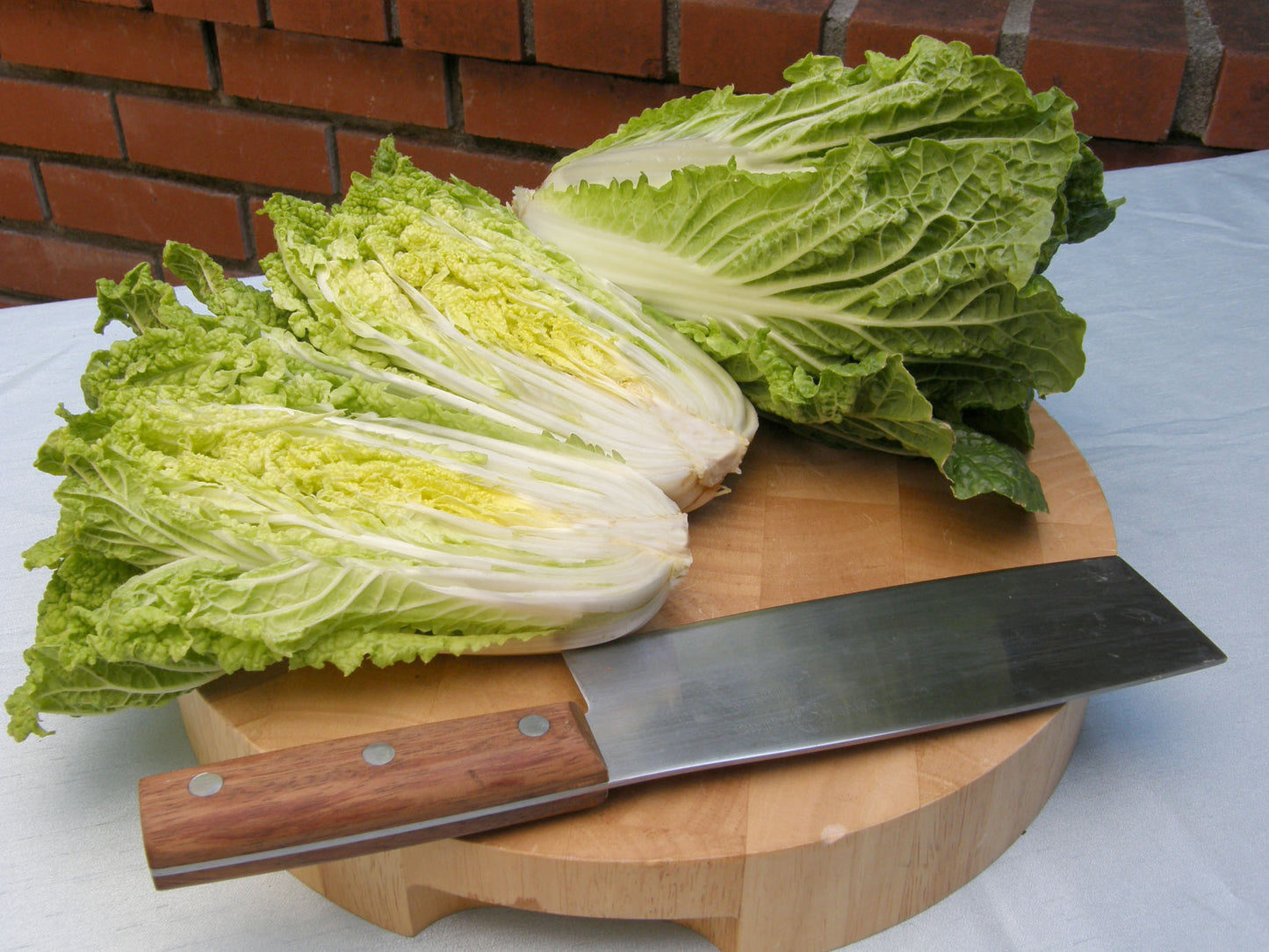 Baby Napa Cabbage - Little Jade