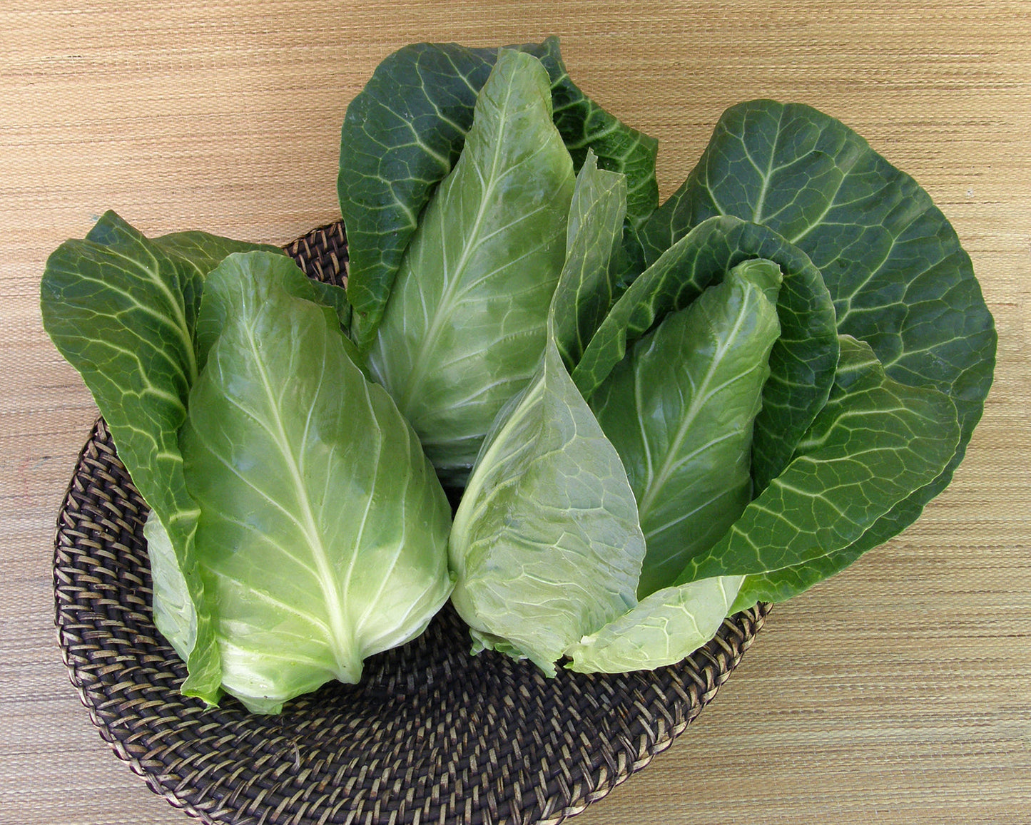 Pointed Sweetheart Cabbage - Conehead