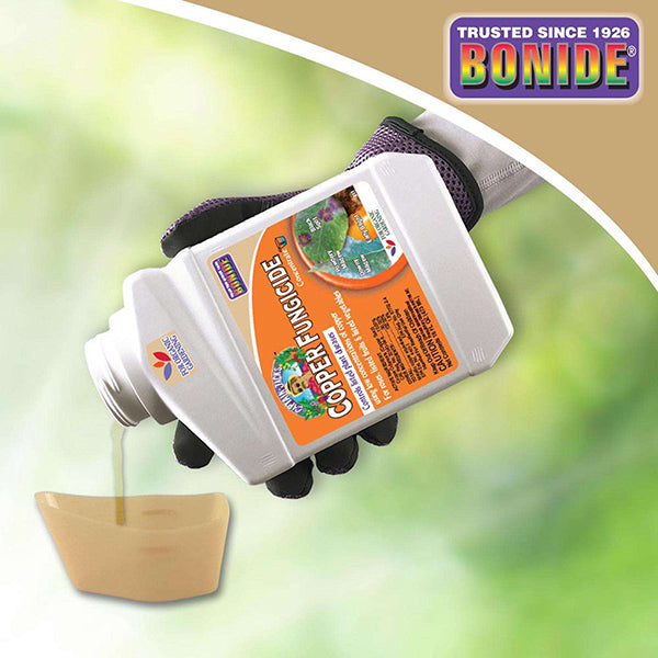 antifungal garden spray Captain Jack's Liquid Copper Fungicide Concentrate – Renee's Garden