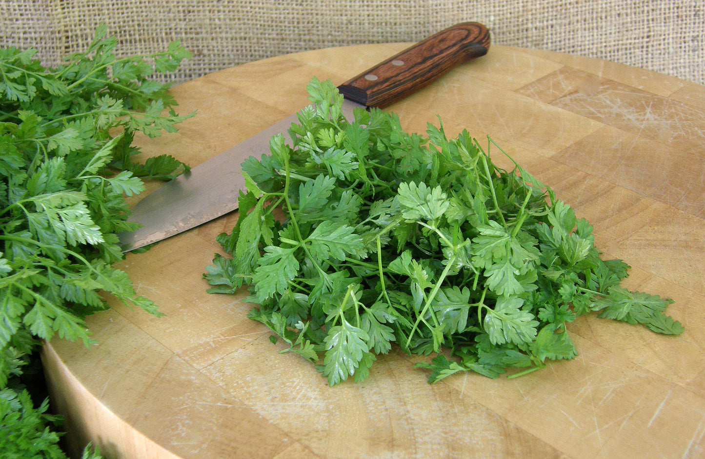 French Chervil