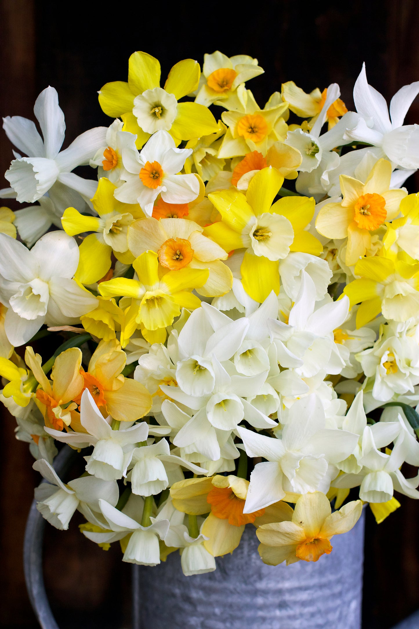Narcissus Perfume Mix