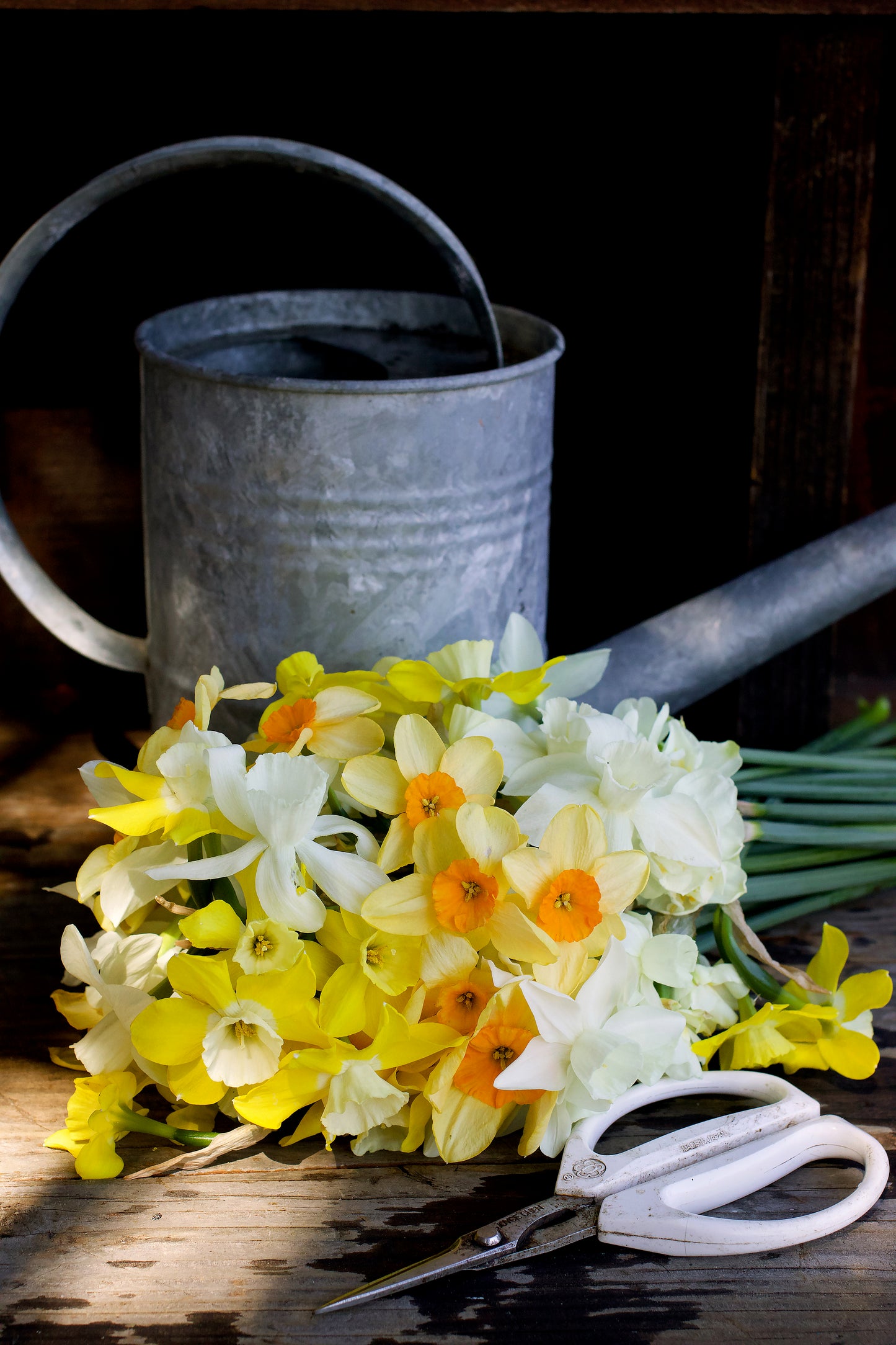 Narcissus Perfume Mix