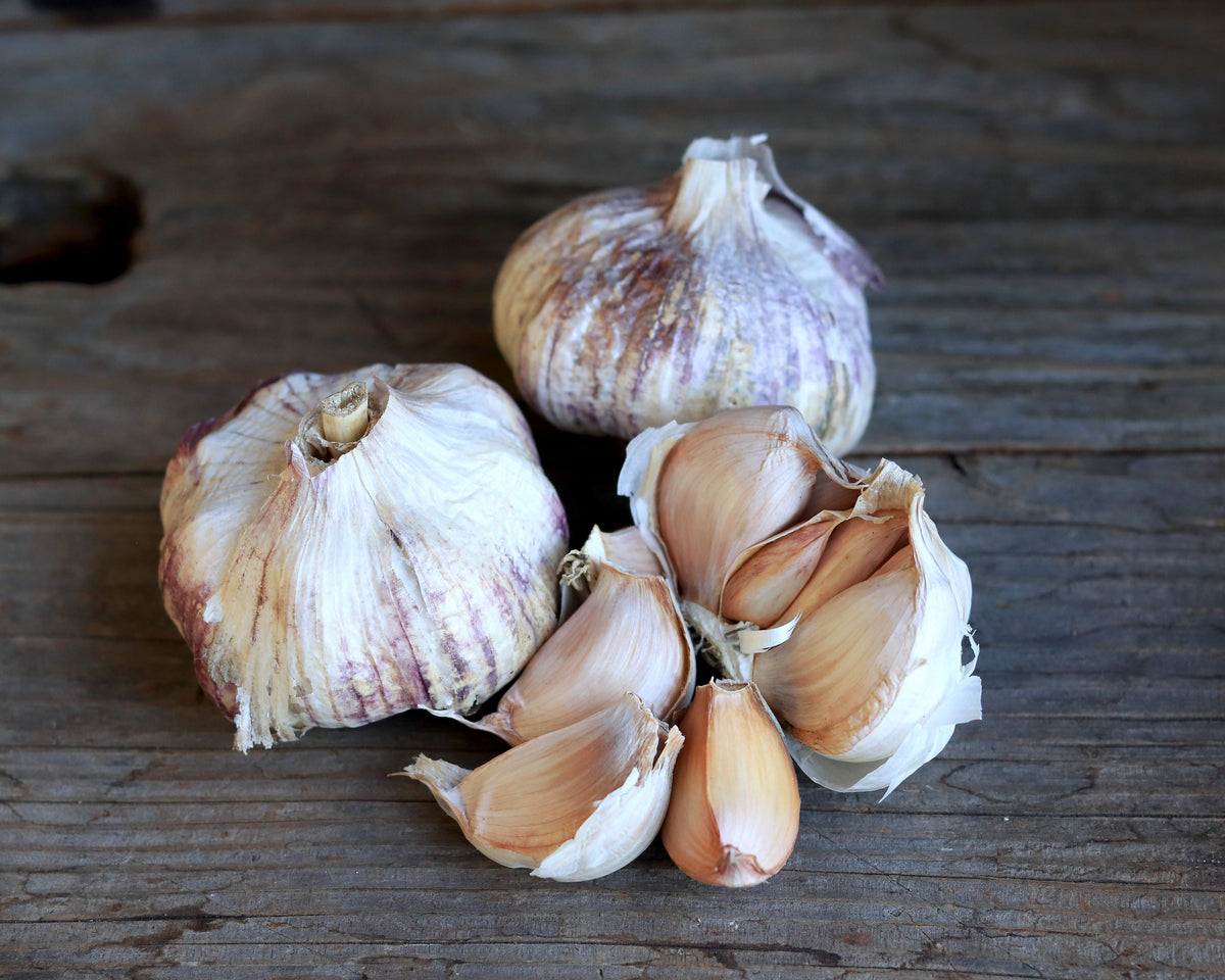 Seed Garlic - Spanish Roja