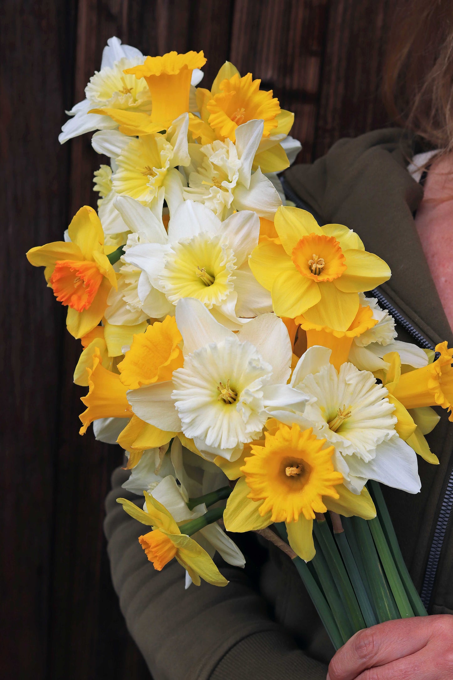 Sunny Daze Naturalizing Mix