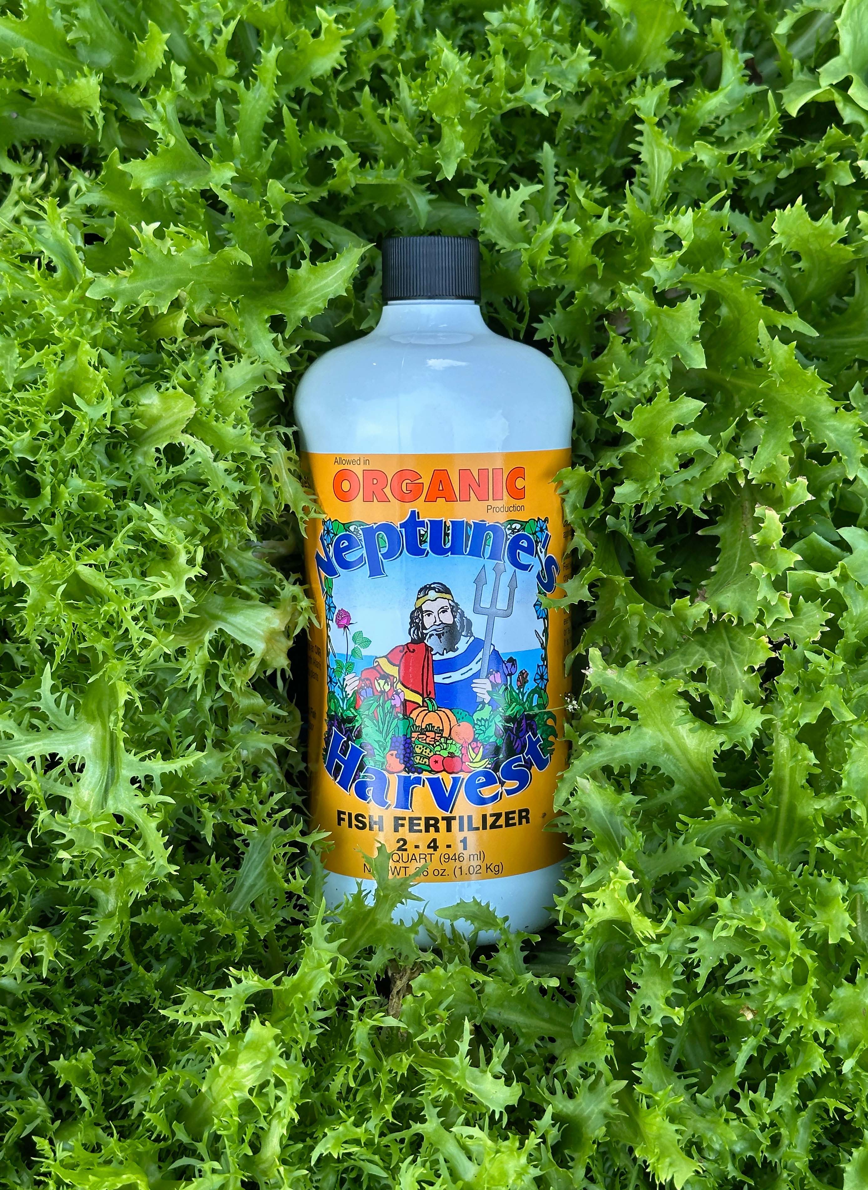 indian river organics liquid fish fertilizer Neptune's Harvest Hydrolyzed Fish Fertilizer 2-4-1 18 oz