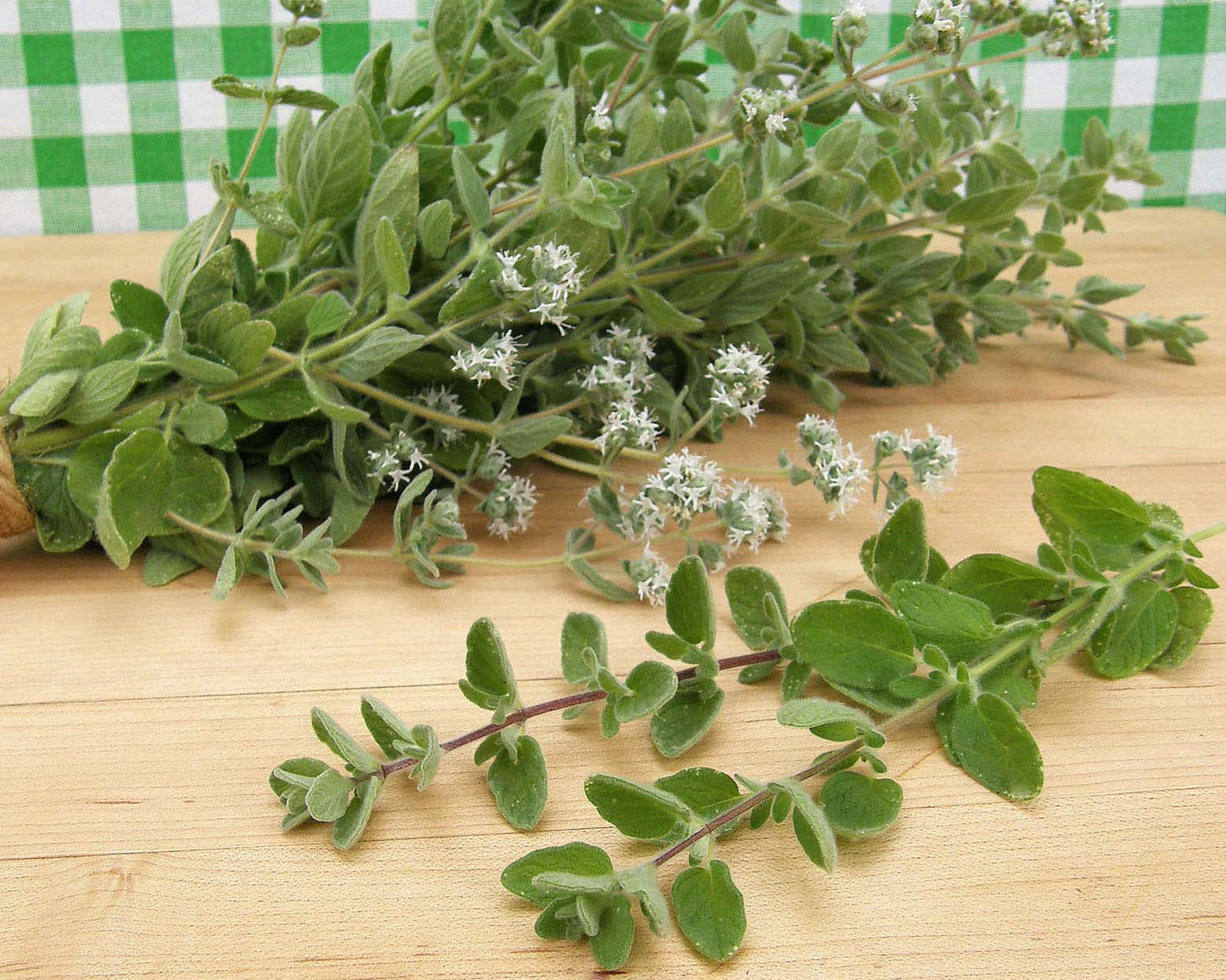 Middle Eastern Oregano - Za'atar Organic