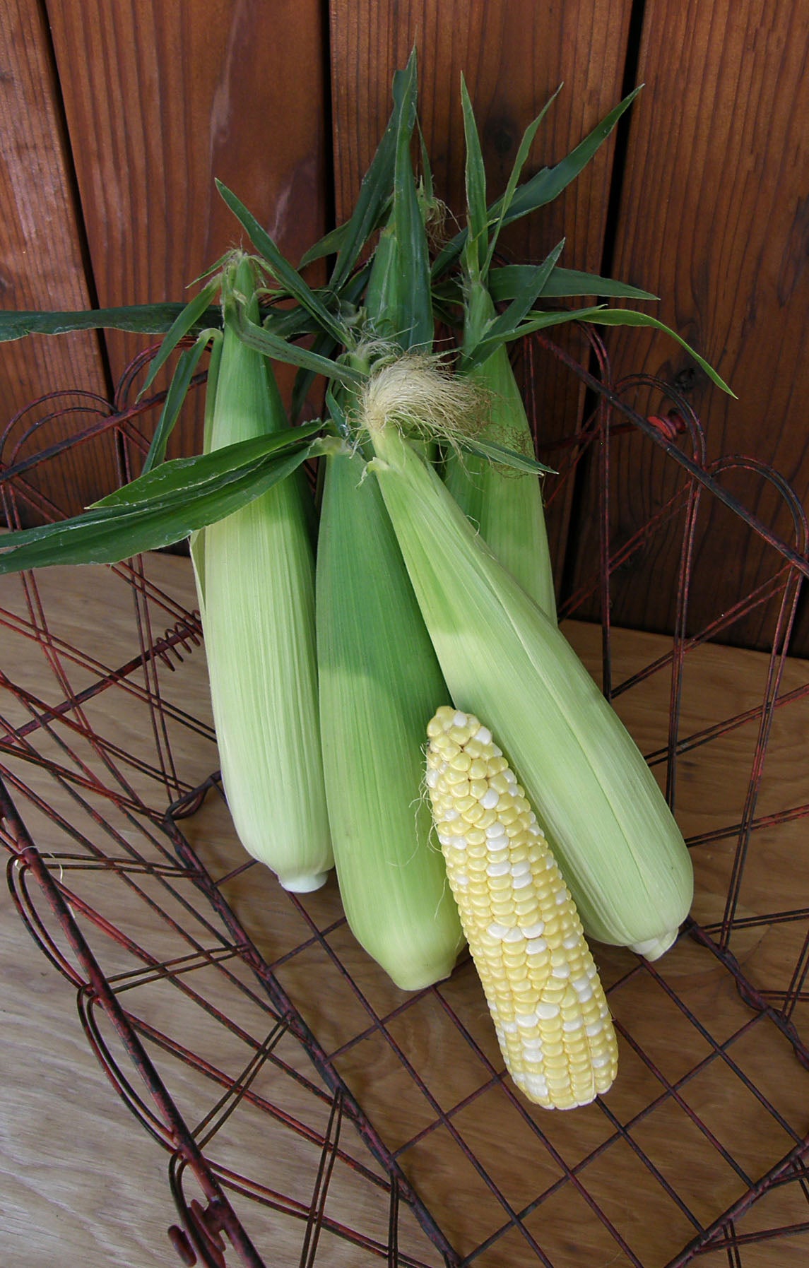 Bicolor Corn - Luscious Organic