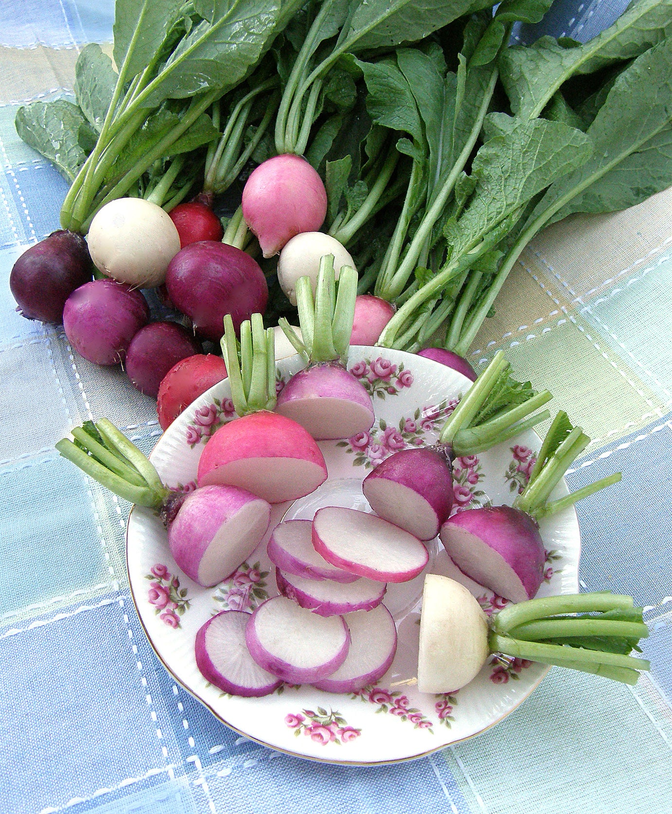 Rainbow Radishes - Easter Egg II