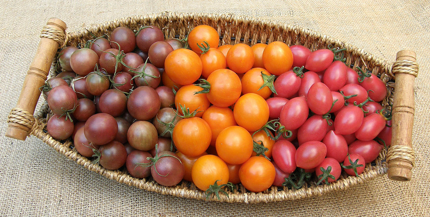 Cherry Tomato Trio - Triple Treats