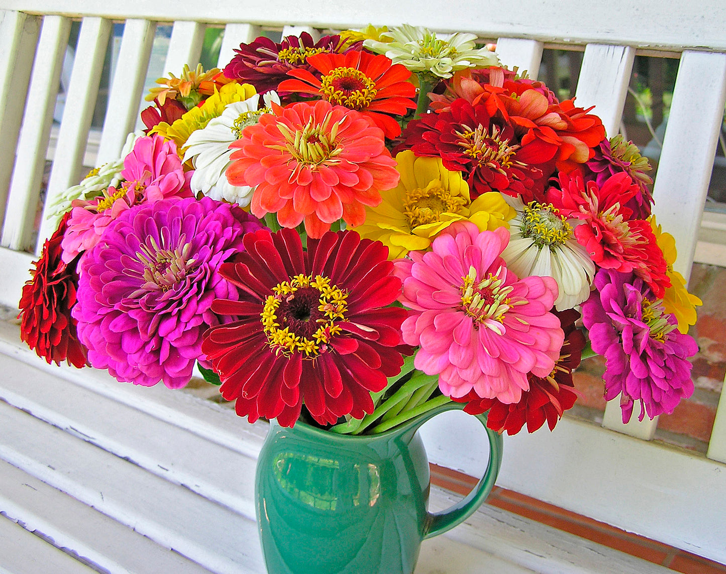 Florist’s Zinnias - Blue Ribbon Bouquet