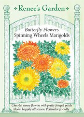 Spinning Wheels Marigolds