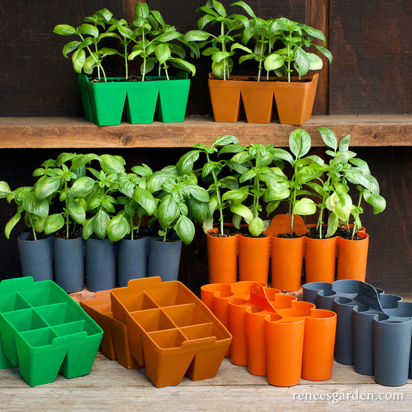 garden seed trays Sili-Seedlings Silicone Seed Starting Trays 10-cell Opal Blue