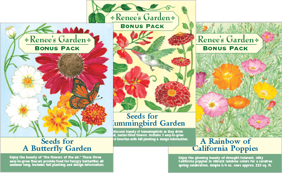 reneesgarden - Renees Garden Displays