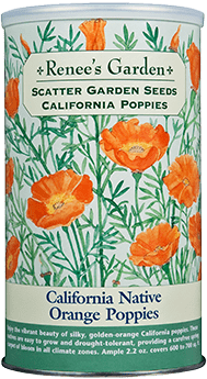 reneesgarden - Renees Garden Displays