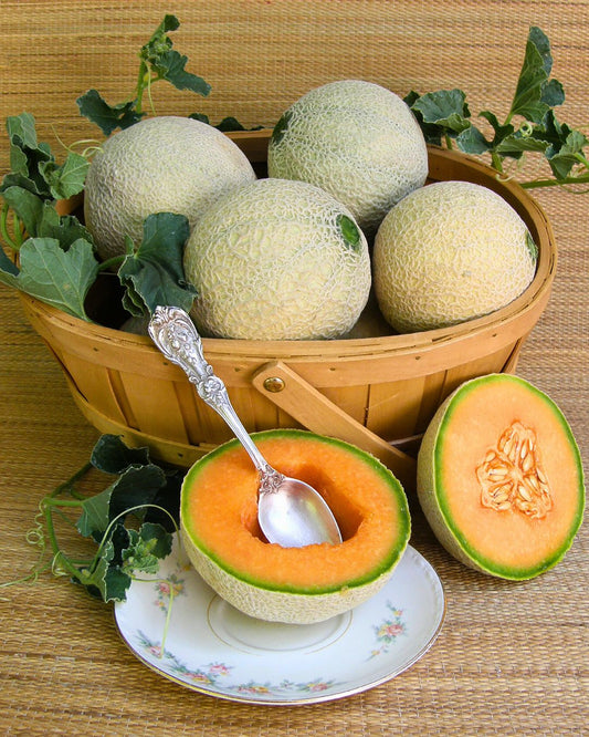 Cantaloupe Salsa