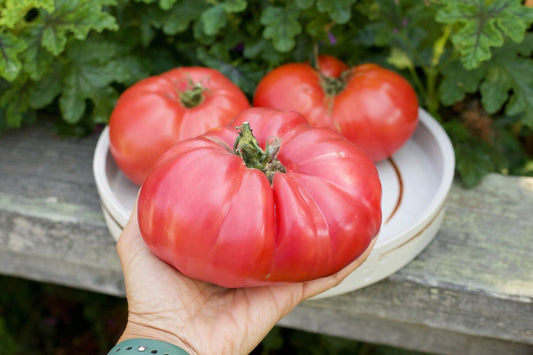 Heirlooms and Hybrids