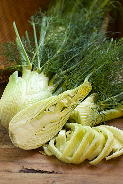 Bulbing Fennel