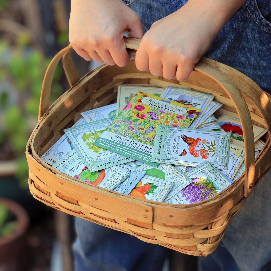 Seed Packets