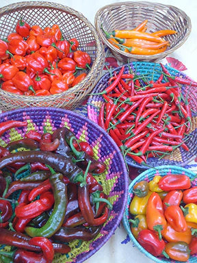 Chile Peppers