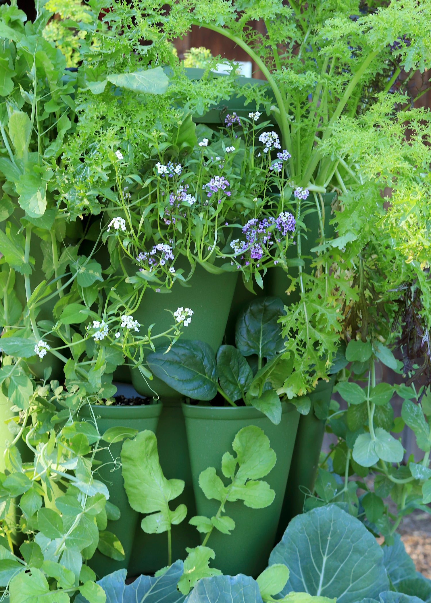 GreenStalk Garden Collection