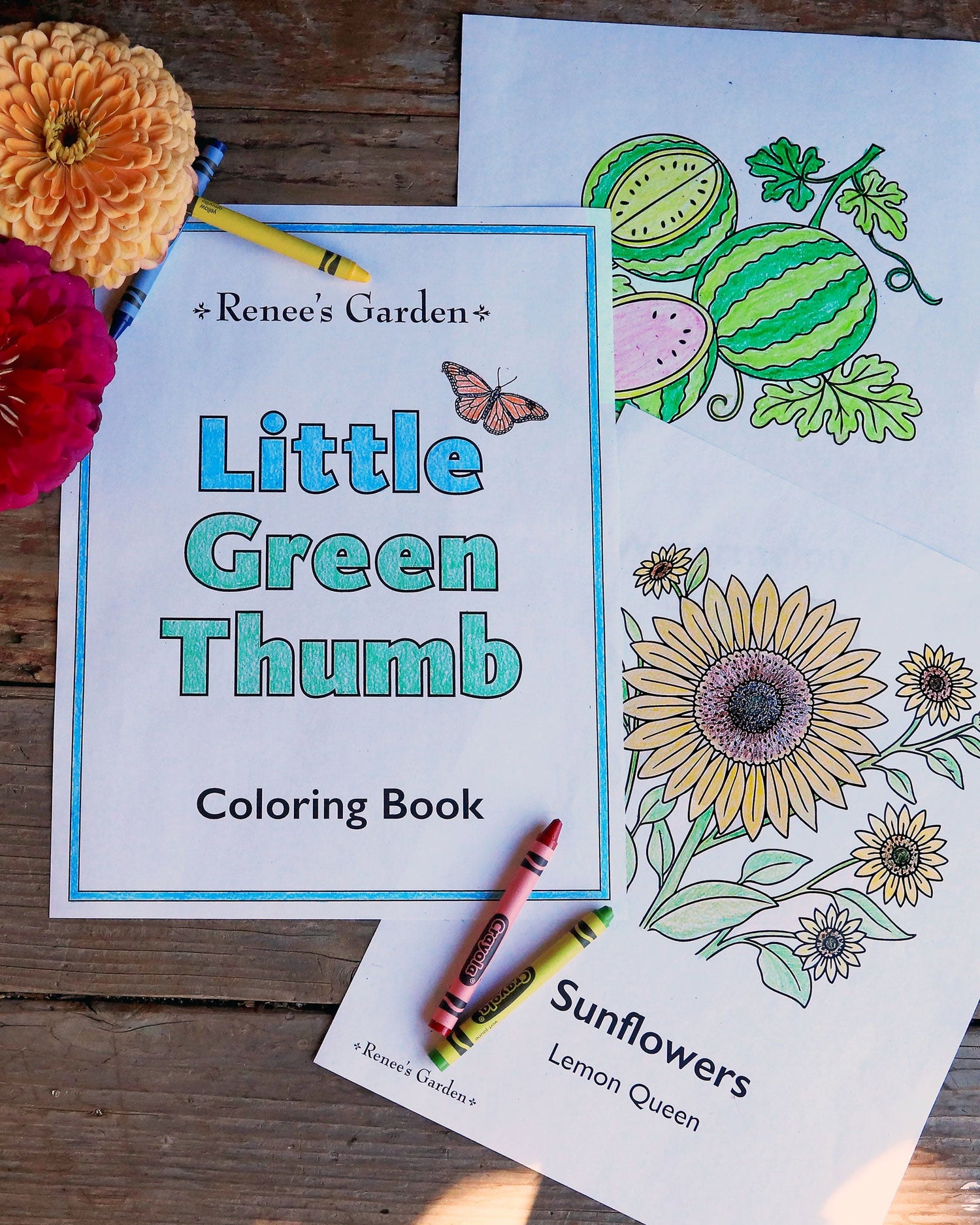 Seeds for Little Green Thumbs