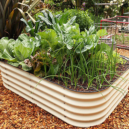 Planters & Beds