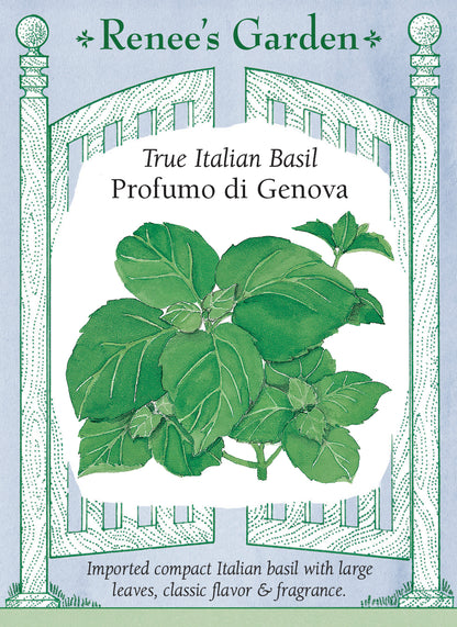 Seed packet for True Italian Basil Profumo di Genova. Imported compact Italian basil with large leaves, classic flavor and fragrance.