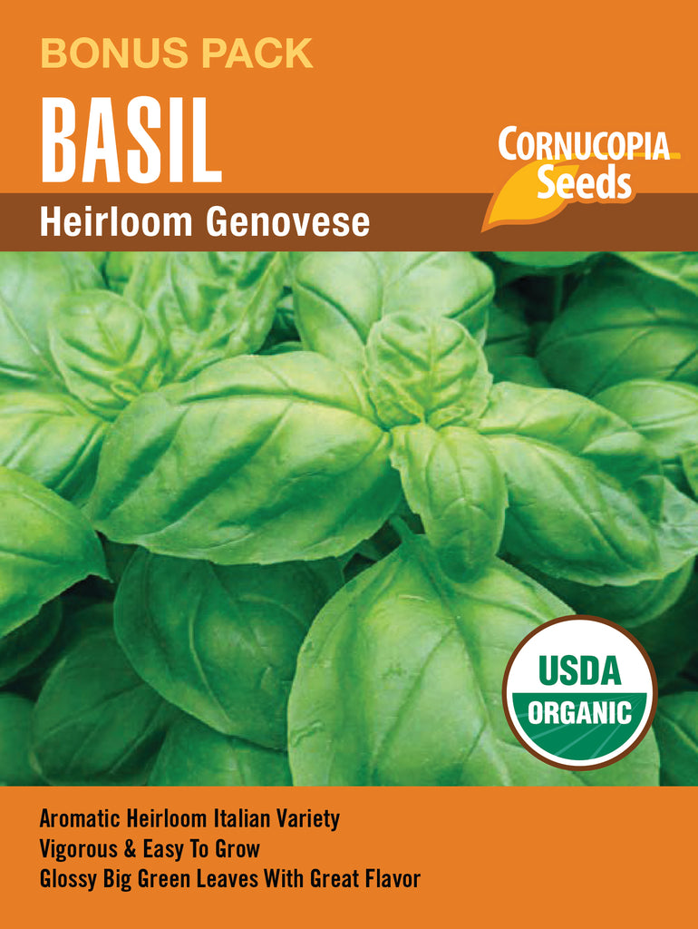 Heirloom Genovese Basil