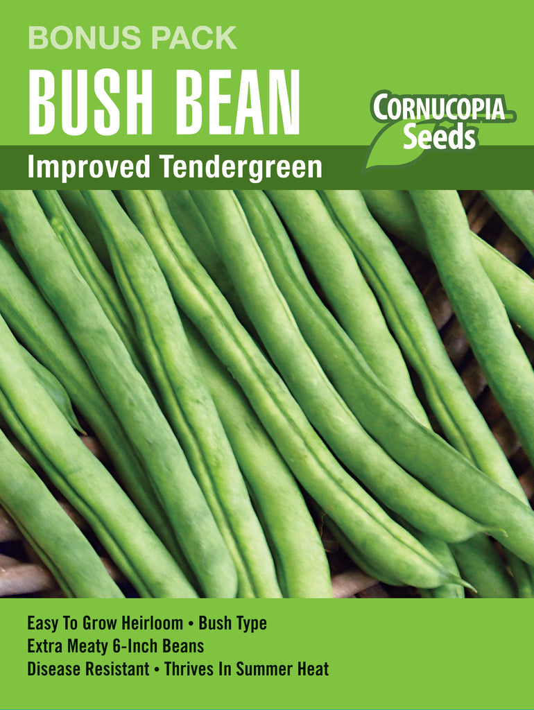 Bush Bean Improved Tendergreen