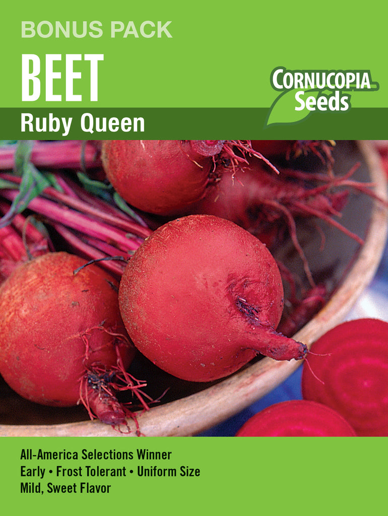 Ruby Queen Beet
