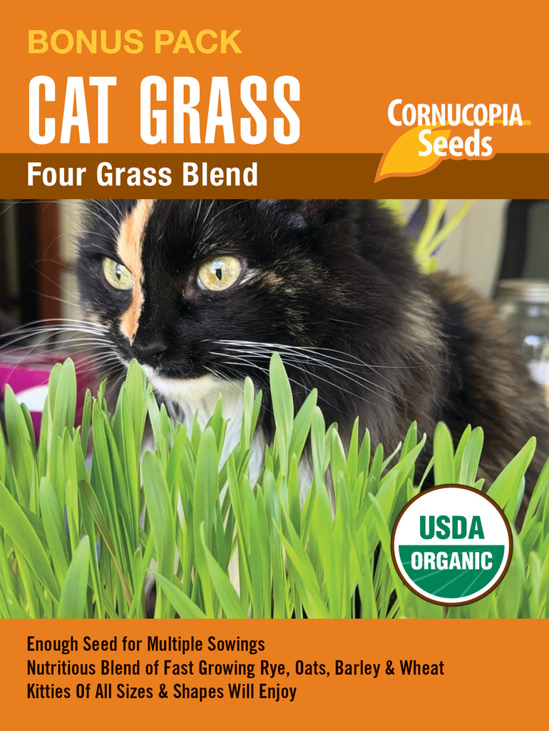 Four Grass Blend Cat Grass