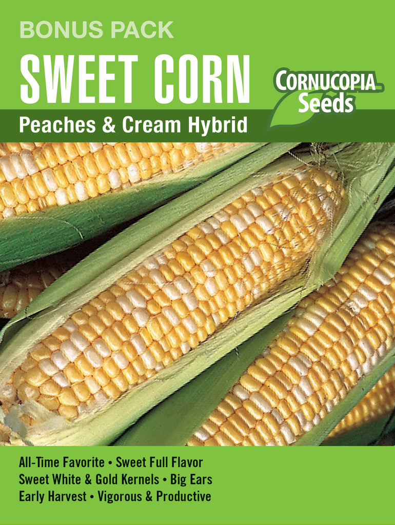 Peaches & Cream Hybrid Sweet Corn