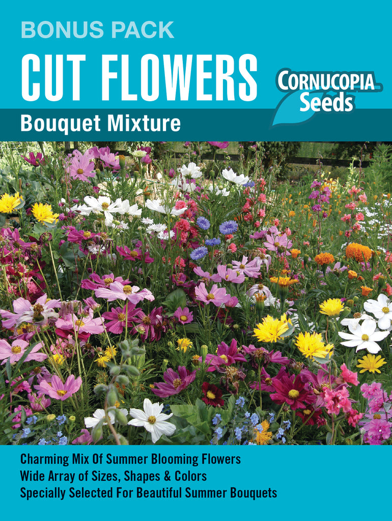 Bouquet Mixture Cut Flowers