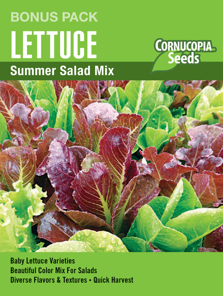 Summer Salad Mix Lettuce
